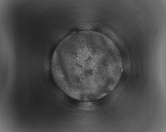 X0000100900374200807151123