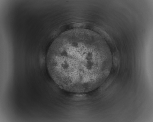 X0000100900375200807151123