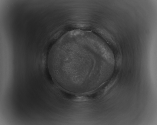 X0000100900376200807151123