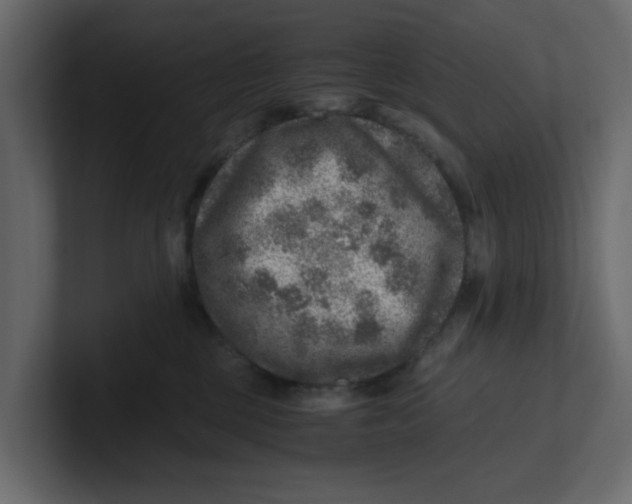 X0000100900377200807151123