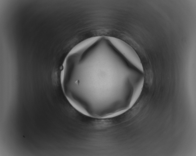 X0000100900378200807151123