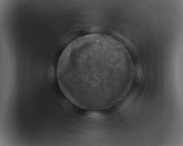 X0000100900380200807151123