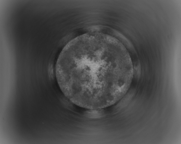 X0000100900381200807151123