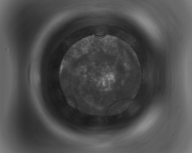 X0000100900383200807151123