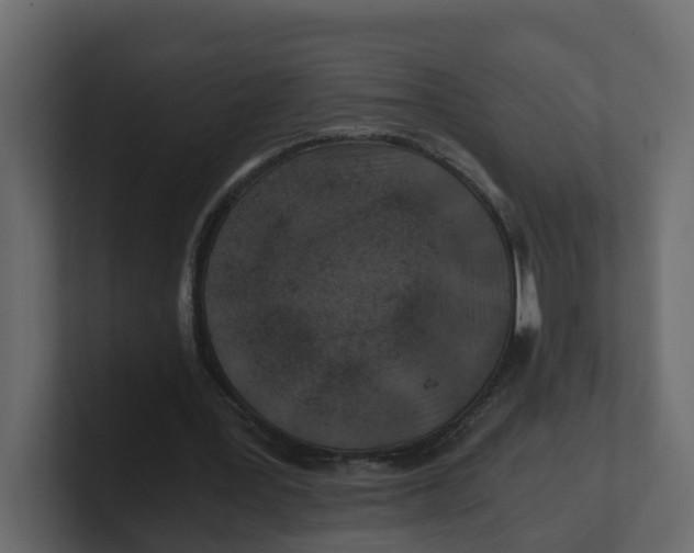 X0000100900387200807151122