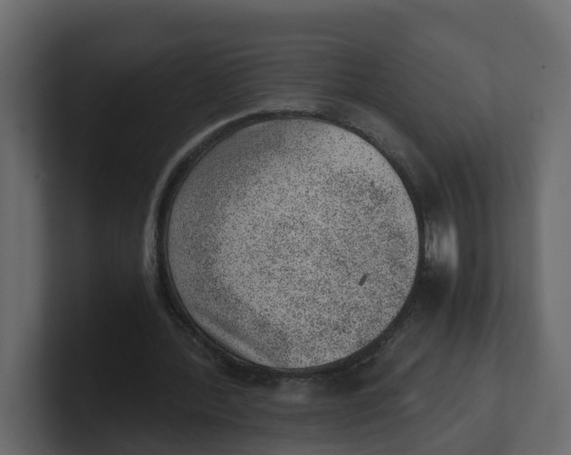 X0000100900388200807151122