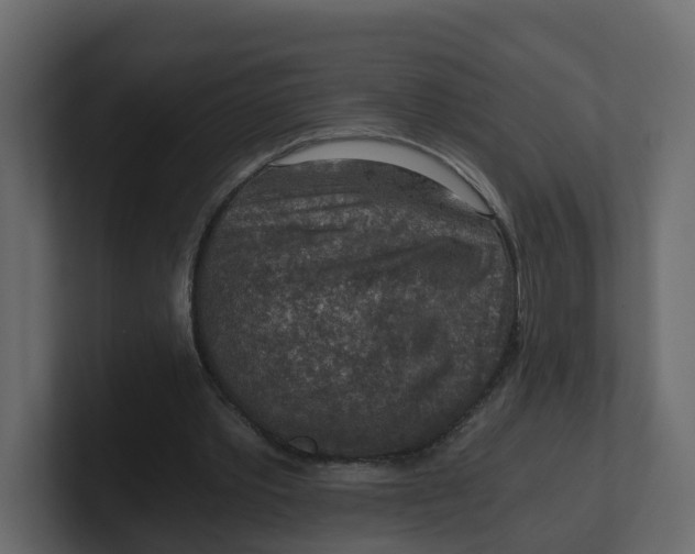 X0000100900389200807151122