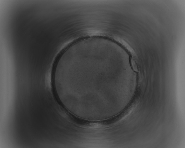 X0000100900391200807151122