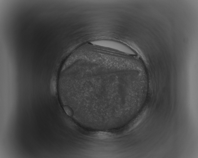 X0000100900393200807151122