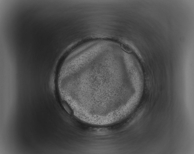 X0000100900395200807151122