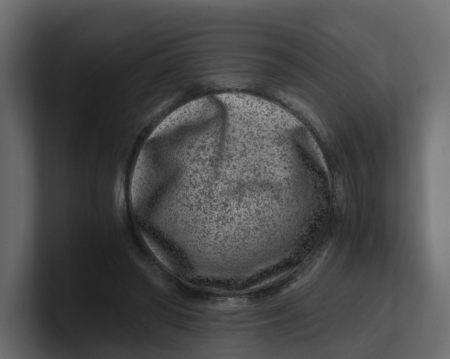 X0000100900398200807151122