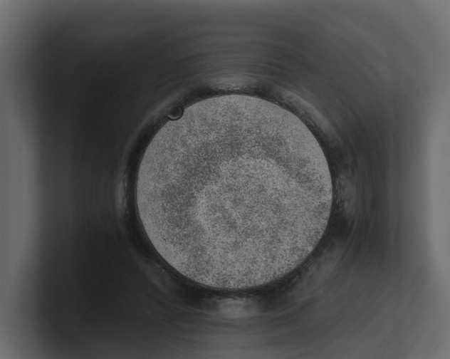 X0000100900400200807151122