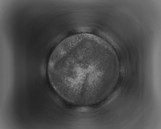 X0000100900402200807151122