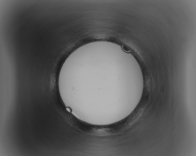 X0000100900407200807151122