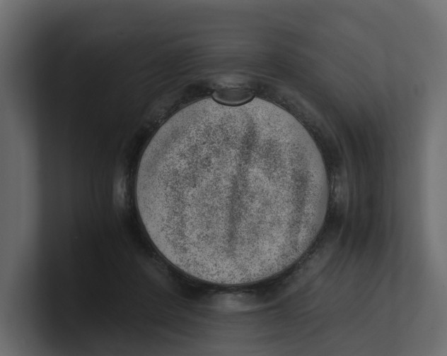 X0000100900408200807151122