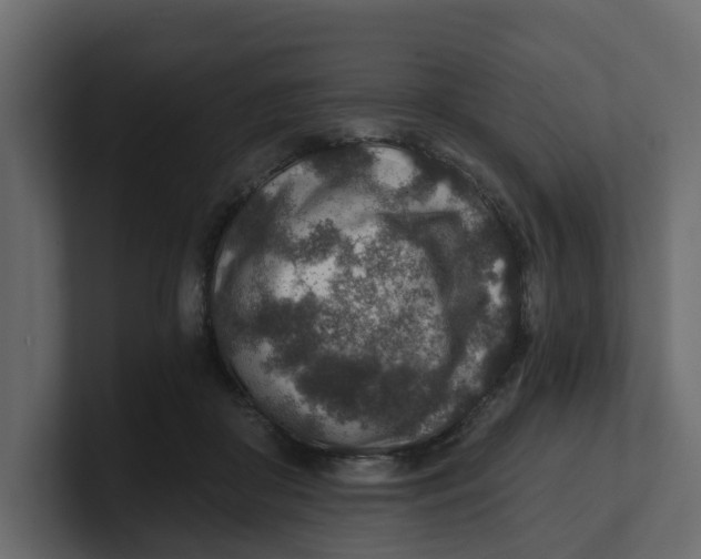 X0000100900410200807151122