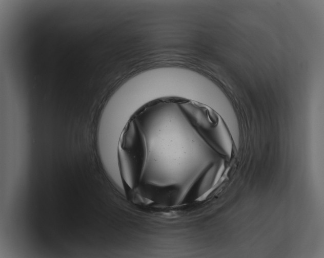 X0000100900411200807151122