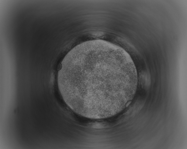 X0000100900412200807151122