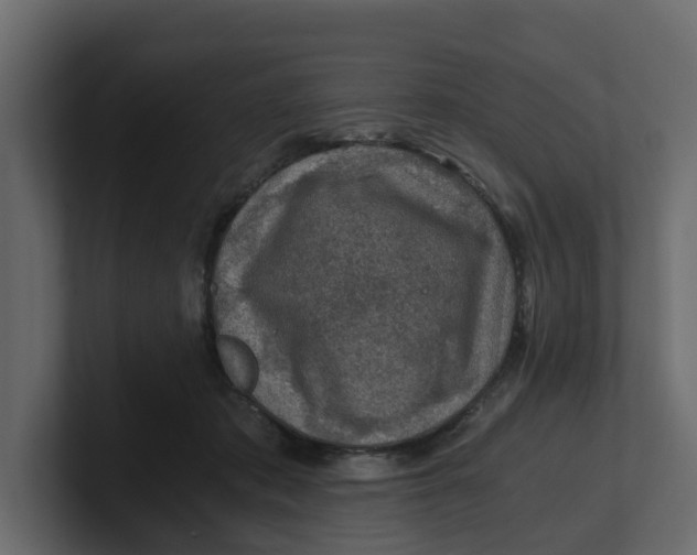 X0000100900413200807151122