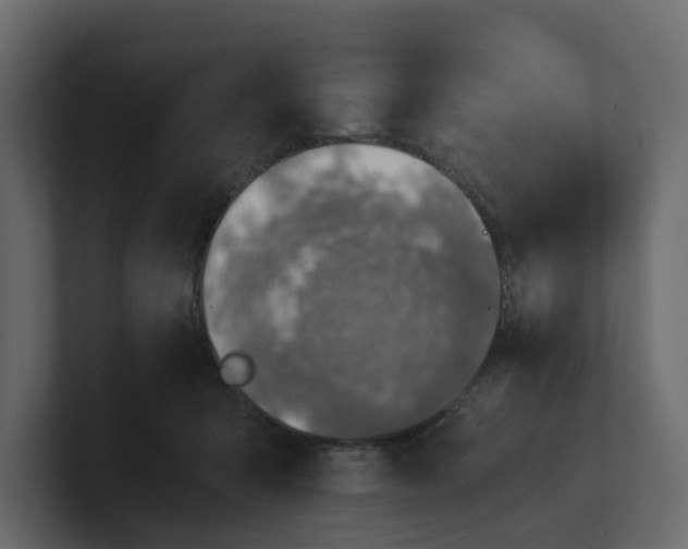 X0000100900415200807151122