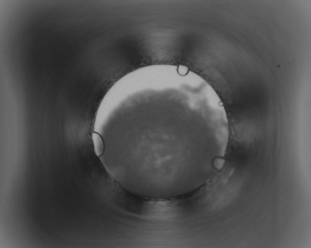 X0000100900419200807151122