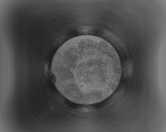 X0000100900420200807151122