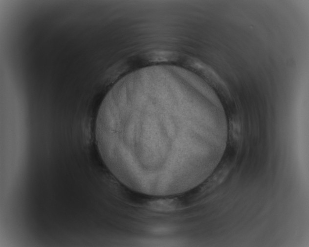 X0000100900422200807151122