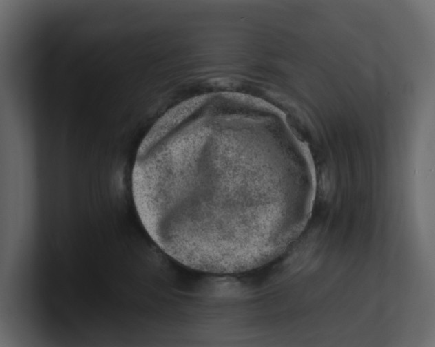 X0000100900424200807151122