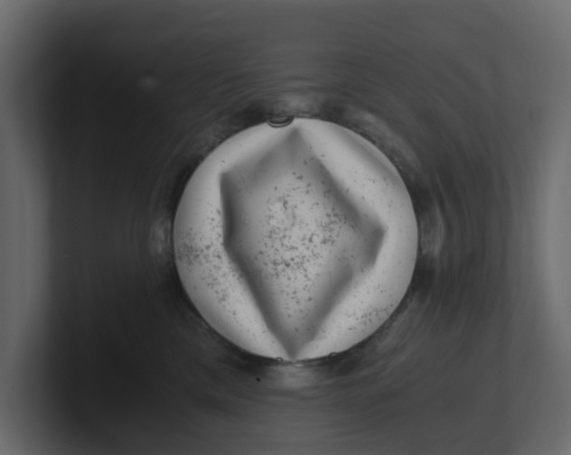 X0000100900425200807151122