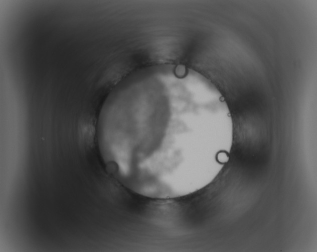 X0000100900427200807151122