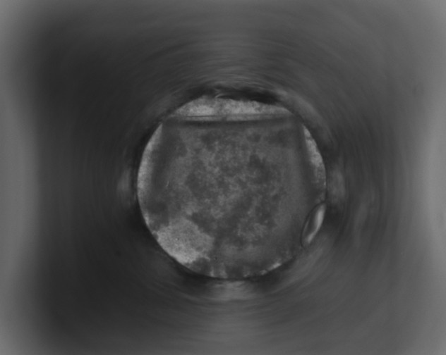 X0000100900428200807151122