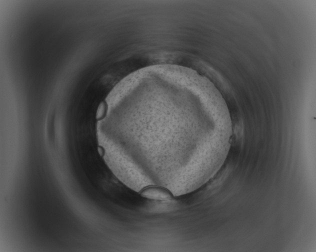 X0000100900429200807151122