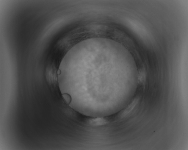 X0000100900431200807151122