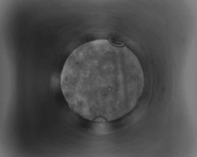 X0000100900432200807151122