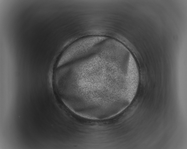 X0000100900434200807151121