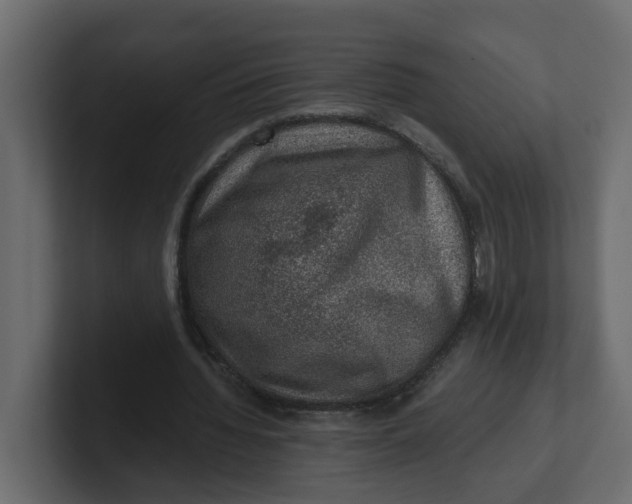 X0000100900436200807151121