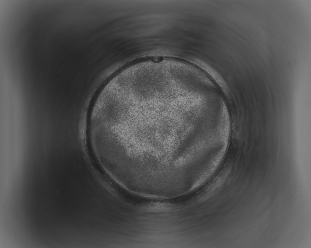 X0000100900437200807151121