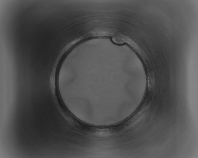 X0000100900438200807151121