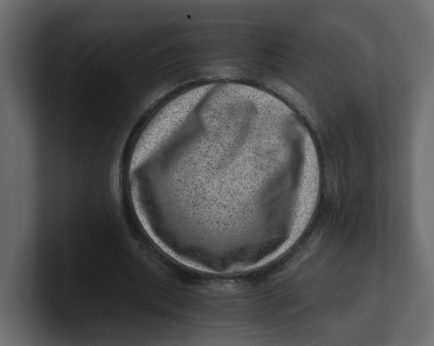 X0000100900439200807151121