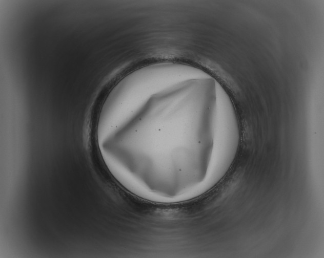 X0000100900440200807151121