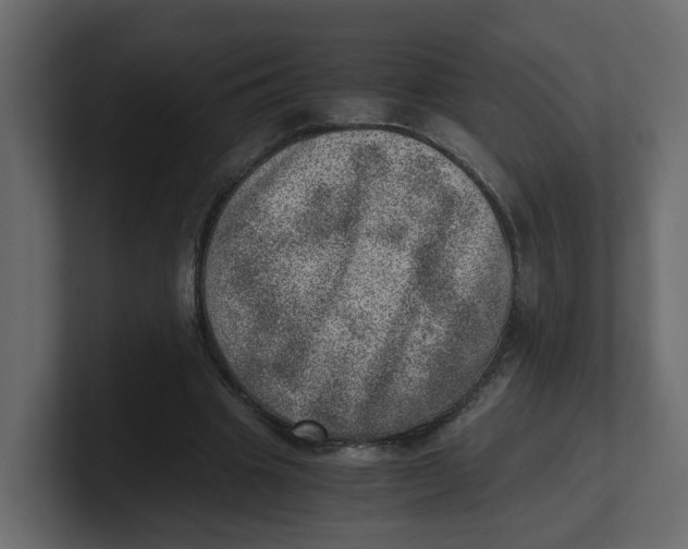 X0000100900441200807151121