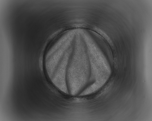 X0000100900442200807151121