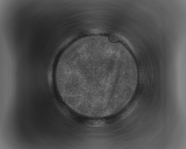 X0000100900443200807151121