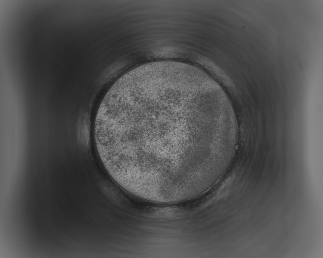 X0000100900446200807151121