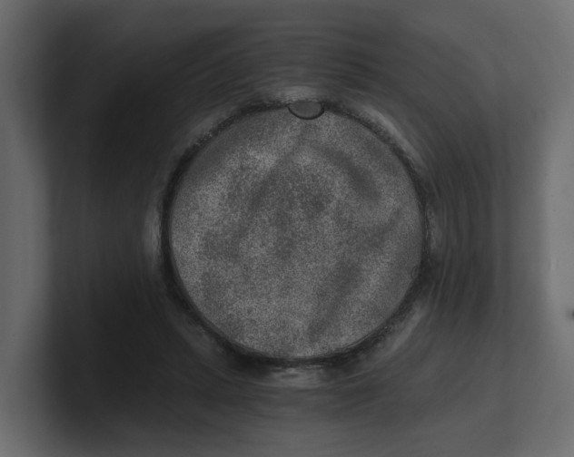 X0000100900447200807151121