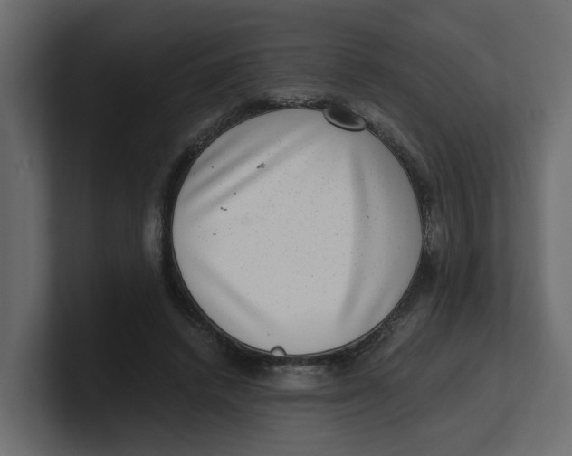 X0000100900448200807151121