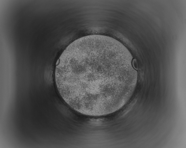 X0000100900450200807151121