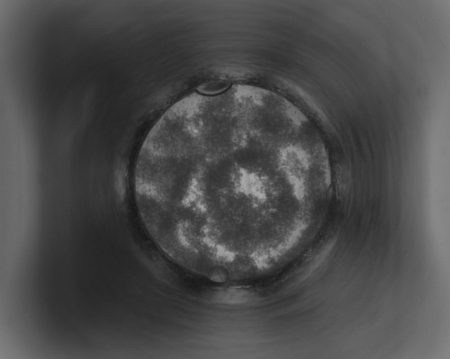 X0000100900451200807151121