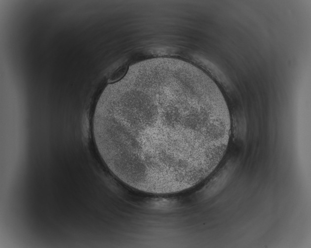 X0000100900453200807151121