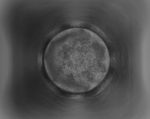 X0000100900454200807151121